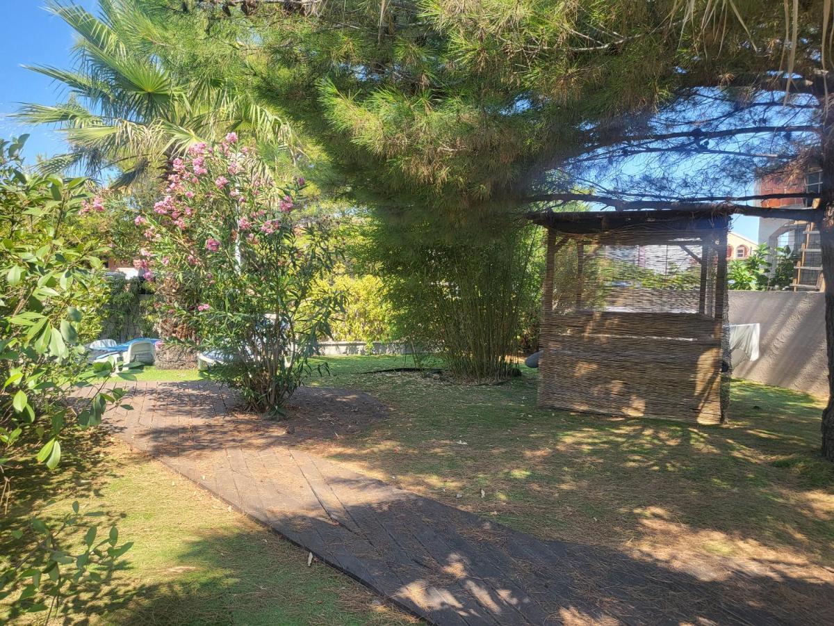 Villa Garden Вир Екстериор снимка